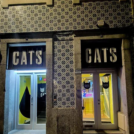 Cats Porto Hostel-2